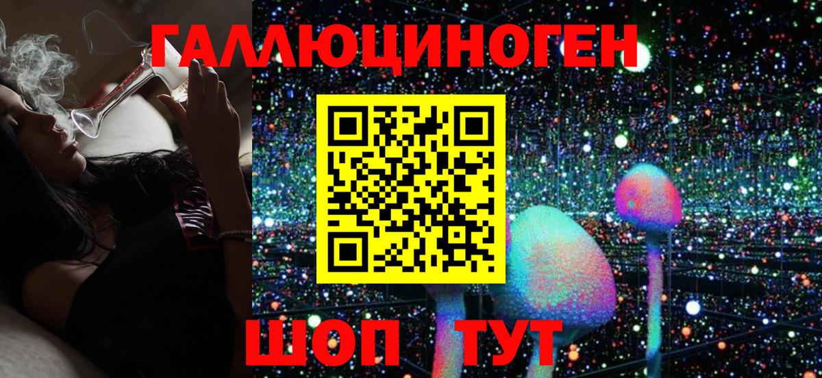 Галлюциногенные грибы Cubensis Полевской
